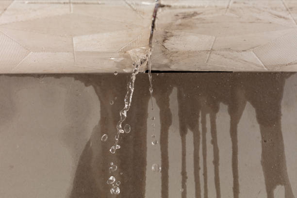 Professional Commercial Water Damage Restoration technician working in Valencia, PA